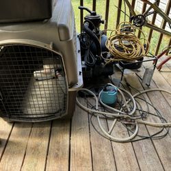 Kennel