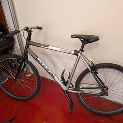 Single Speed Mountain Bike 