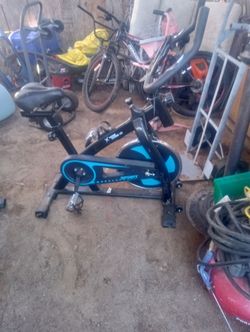 Se vende vaica