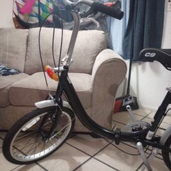 20 Inch Schwinn Folding Bike