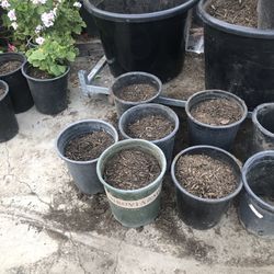 5 Gal Plant Pot W Planting Dirt 