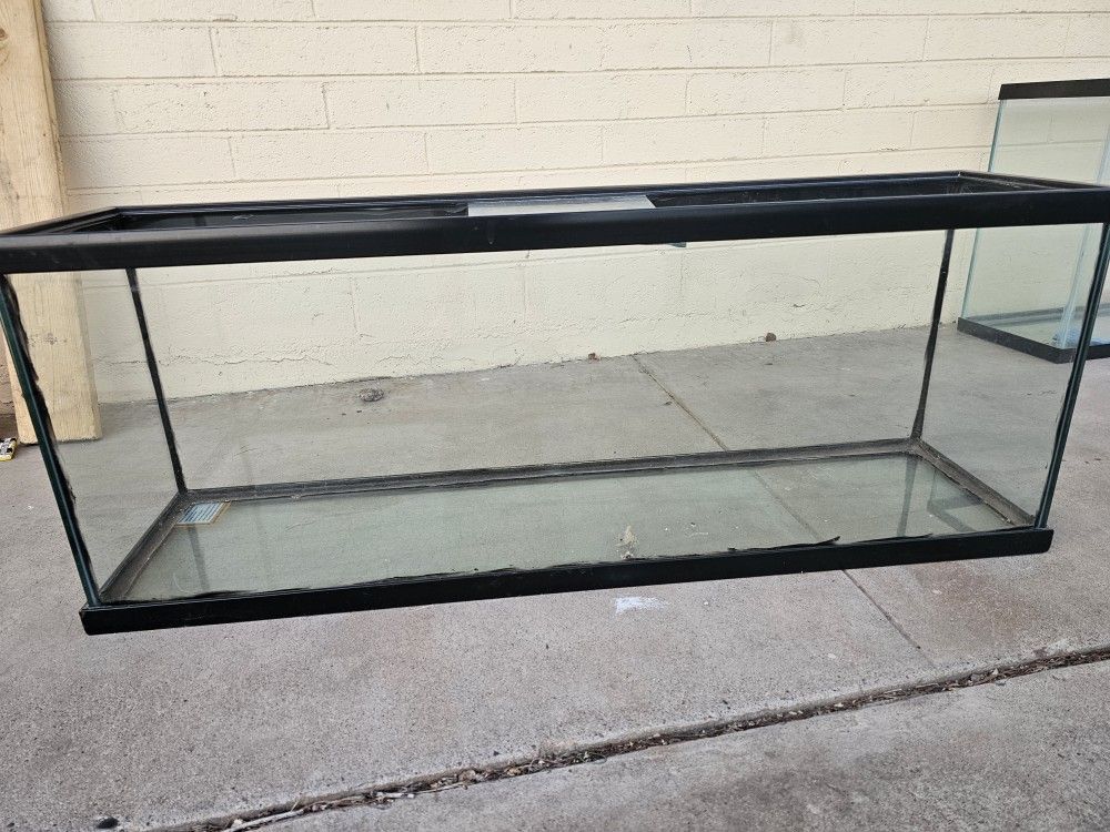 Fish Tanks