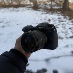 Panasonic LUMIX DC - G9  