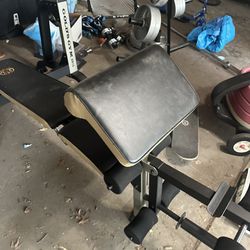 Olympic Weight Bench 