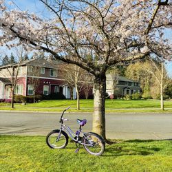 Huffy Girls Bike 20”