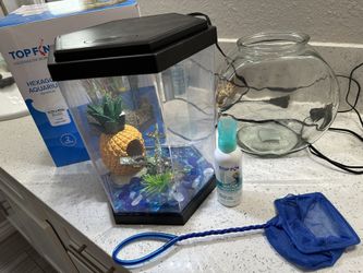 Top Fin Hexagon Aquarium With Decor Glass Rocks Net Water Stabilizer And Glass Bowl