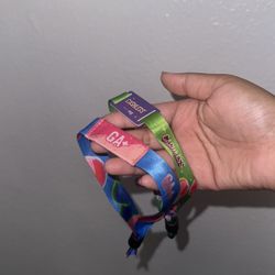 BAJA FEST 3DAY + GA TICKET