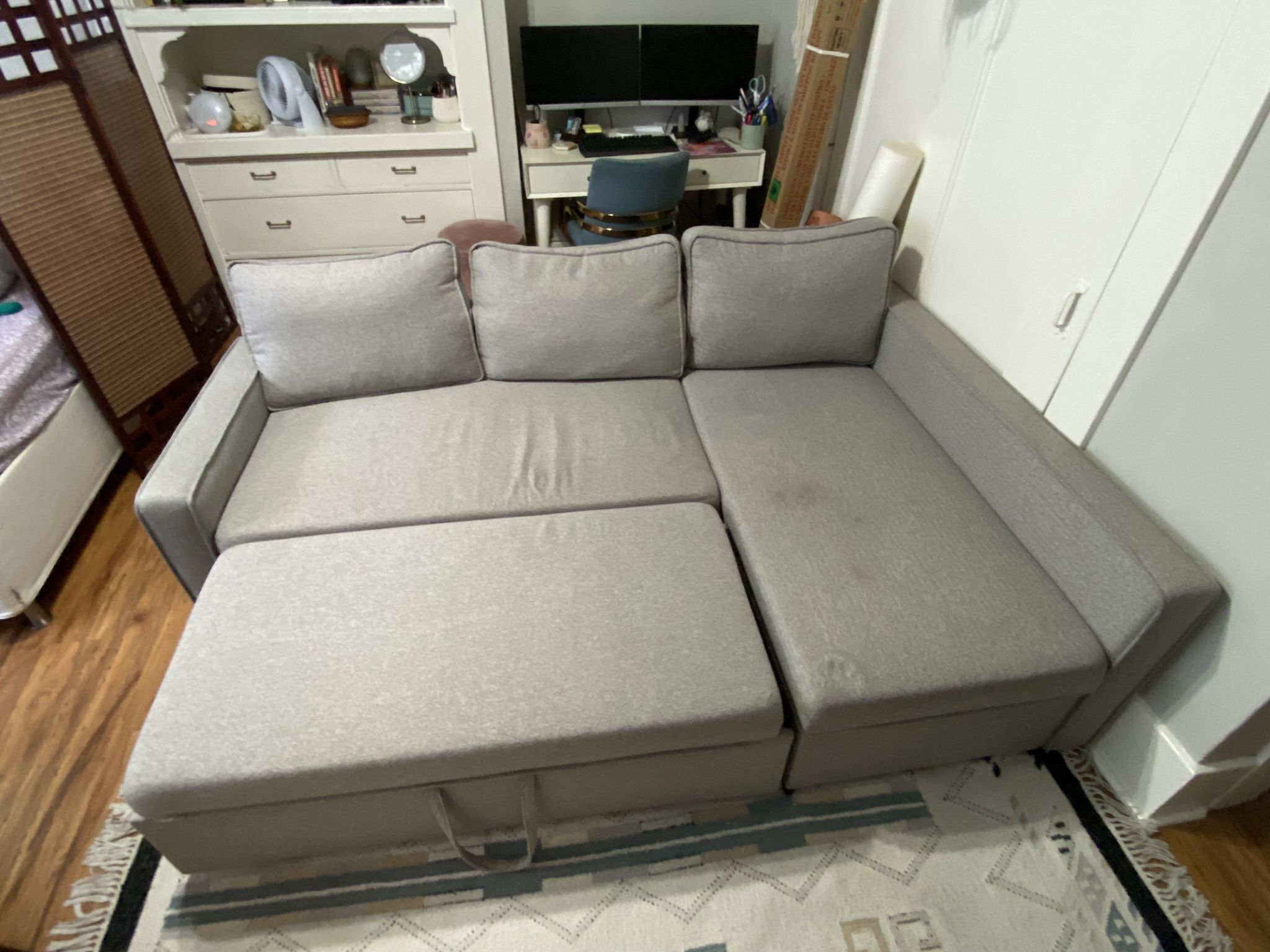 Couch With Pull Out Bed And Storage 
