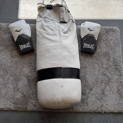 Punching Bag & Everlast Boxing Gloves