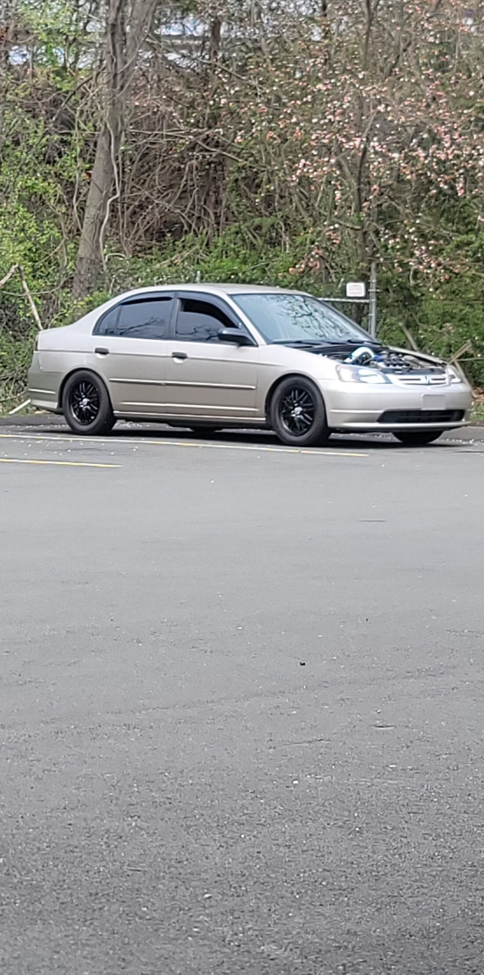 2001 Honda Civic