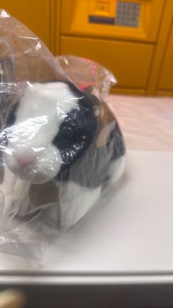 Black and White Bunny Stuffed Animal Plush