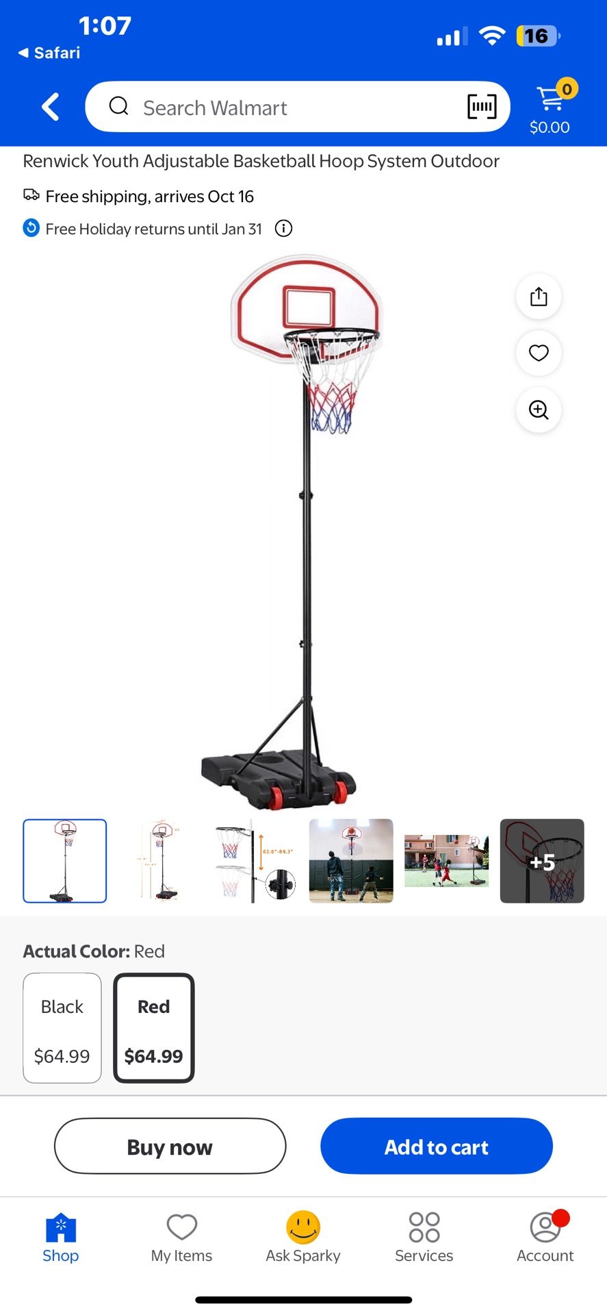 Junior Basketball Hoop