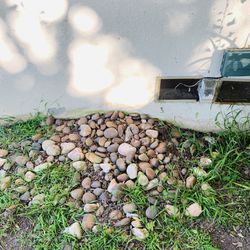 Rocks For Pond Or Fish Tank. “FREE”