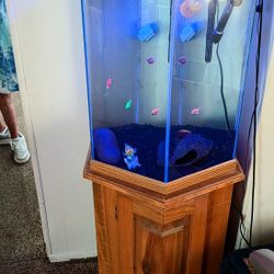 Huge Hexagon Fish Tank And Wooden Storage Stand