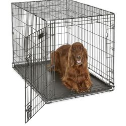 Dog Crate 