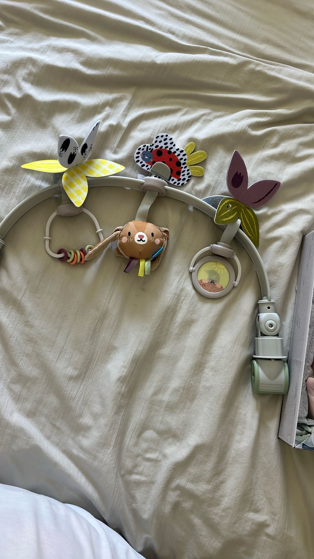Baby Activity Arch