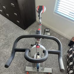 Sunny Health and Fitness Spin Bike