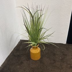 Fake Plant 