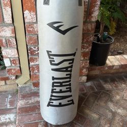Everlast Punching Bag