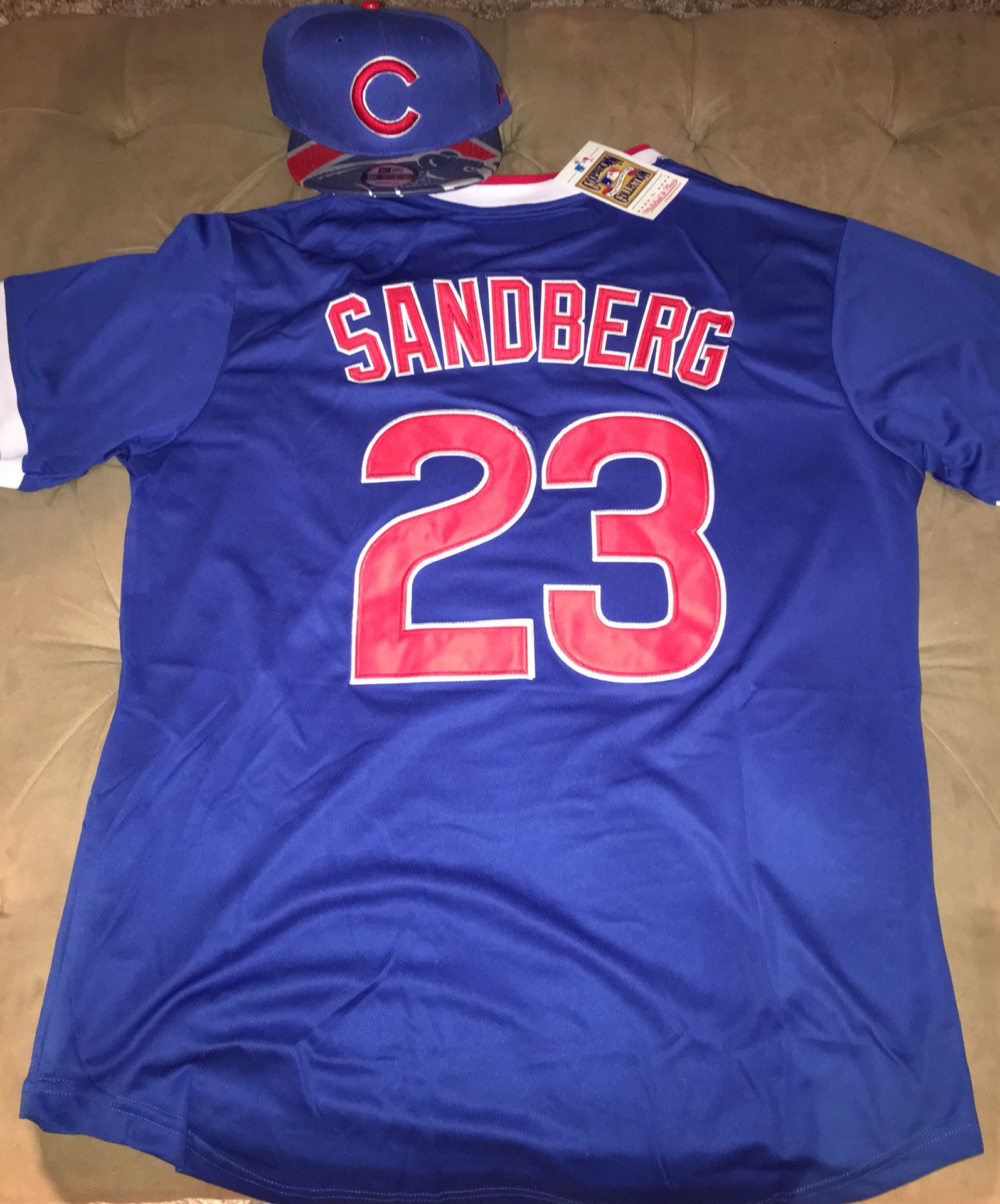 Sandberg Cubs baseball jersey large/XL available brand new with hat$40