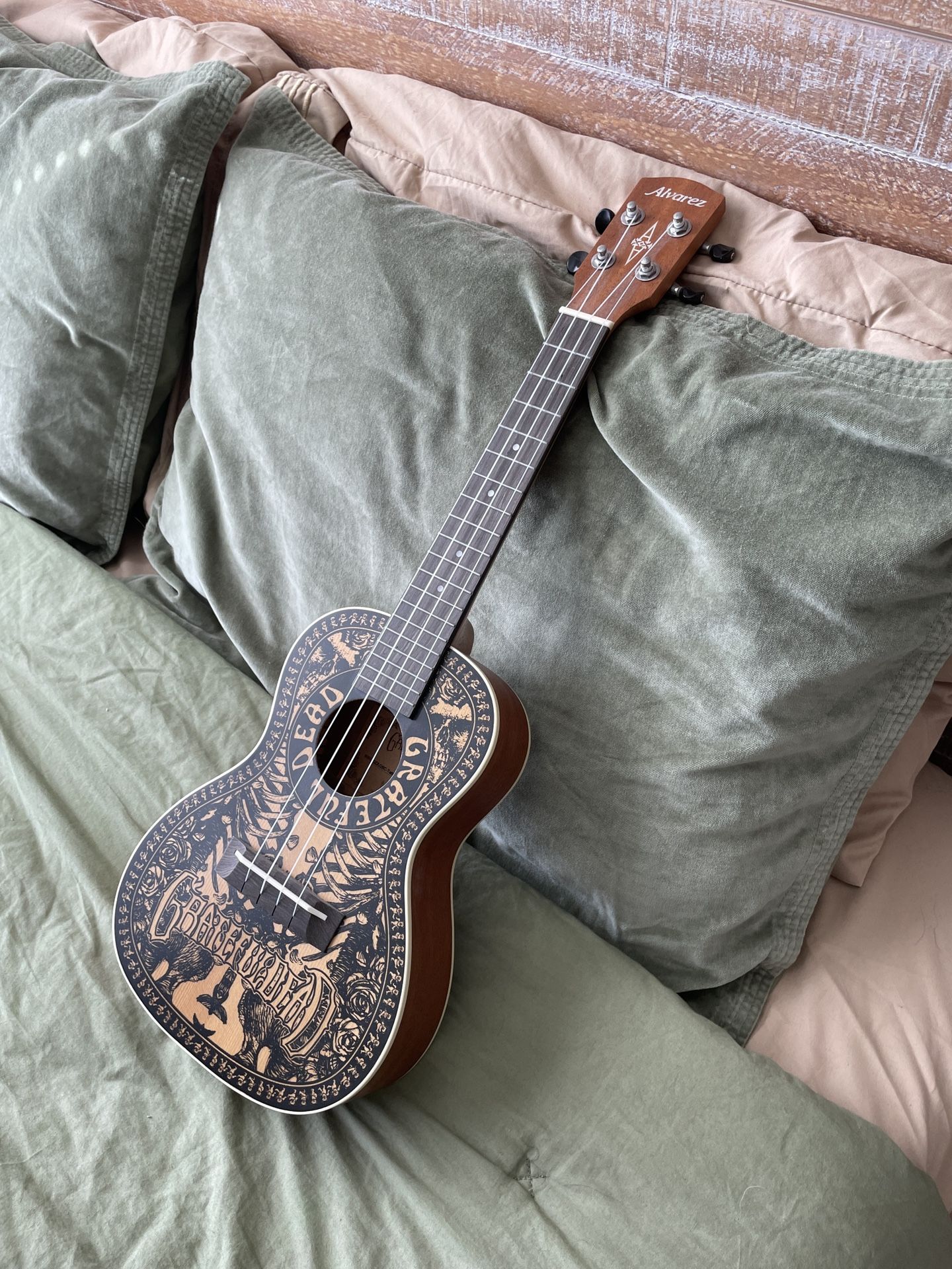 ALVAREZ GRATEFUL DEAD UKULELE for Sale in Humble TX OfferUp