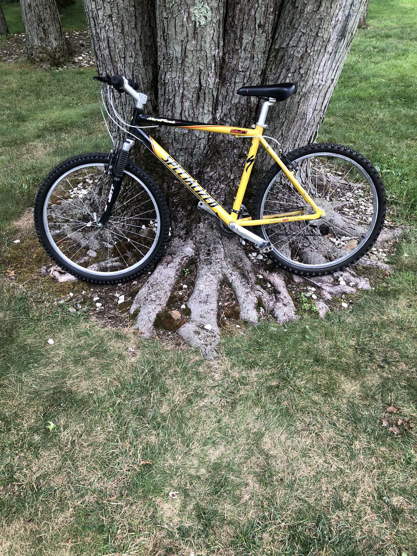 26” Specialized Mountain Bike (large Frame)