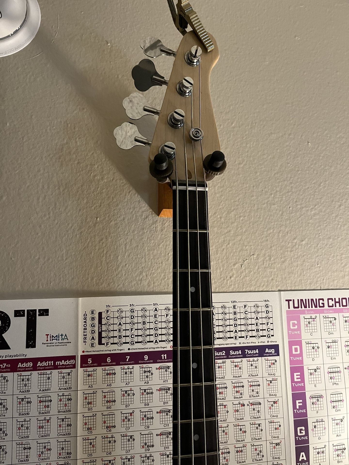 Electric Bass Guitar