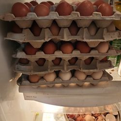 Organic Eggs