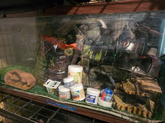 Reptile enclosure