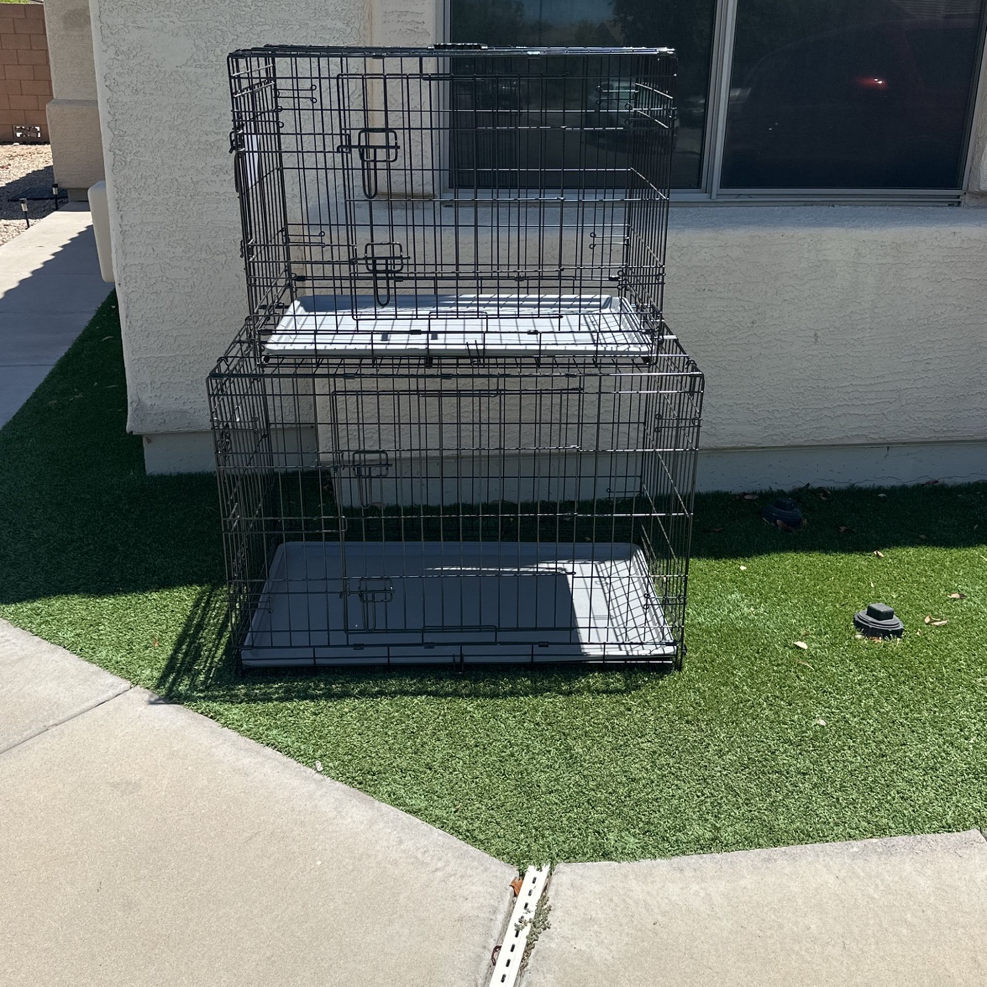 Dog Cages