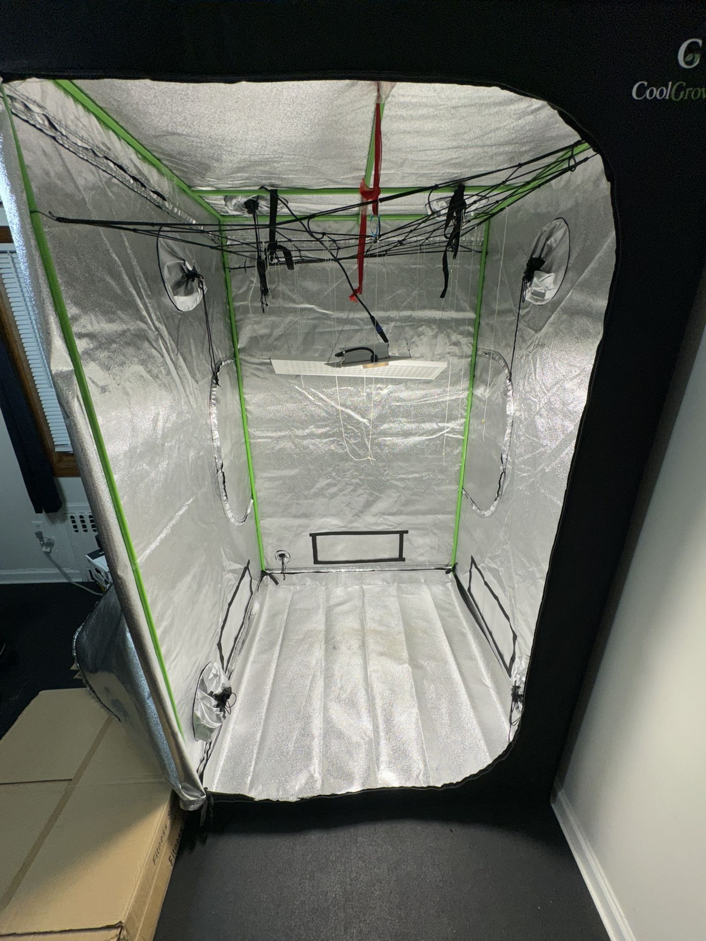 Tent