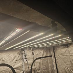 4 - 720 Watt Full Spectrum Grow Light 