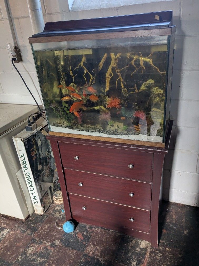 60 Gallon Fish Tank And Stand