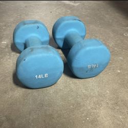14 Pound dumbbell set 