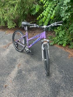 24" Schwinn Traverse Mountain Bike