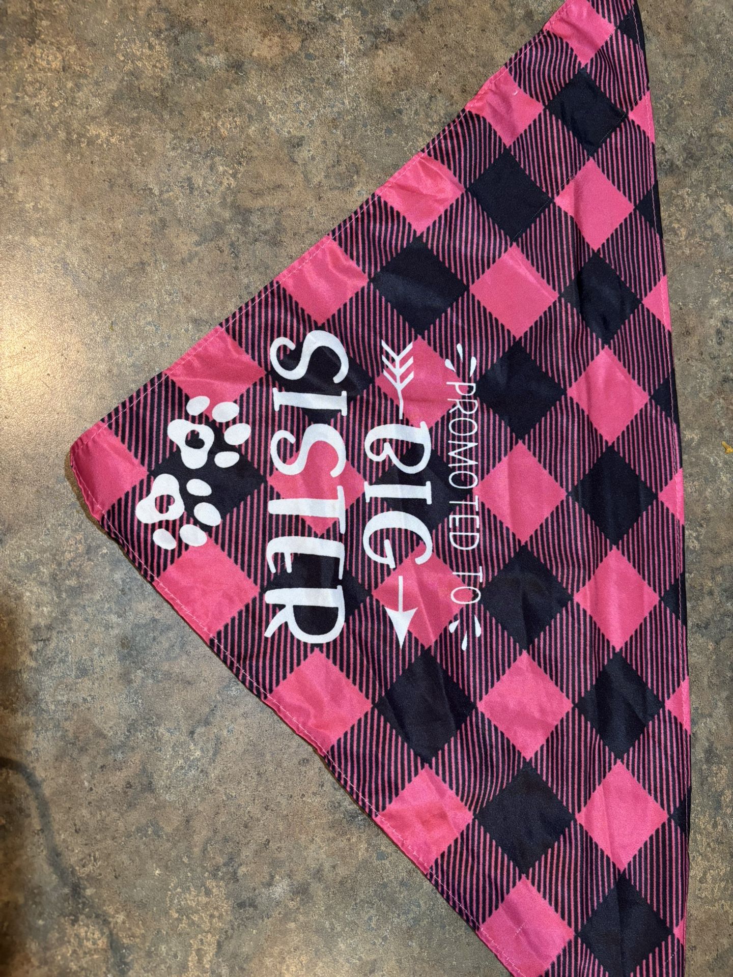 Medium/Large dog bandana. Promoted to Big Sister