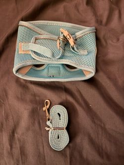 Brand New Harness And Leash Combo