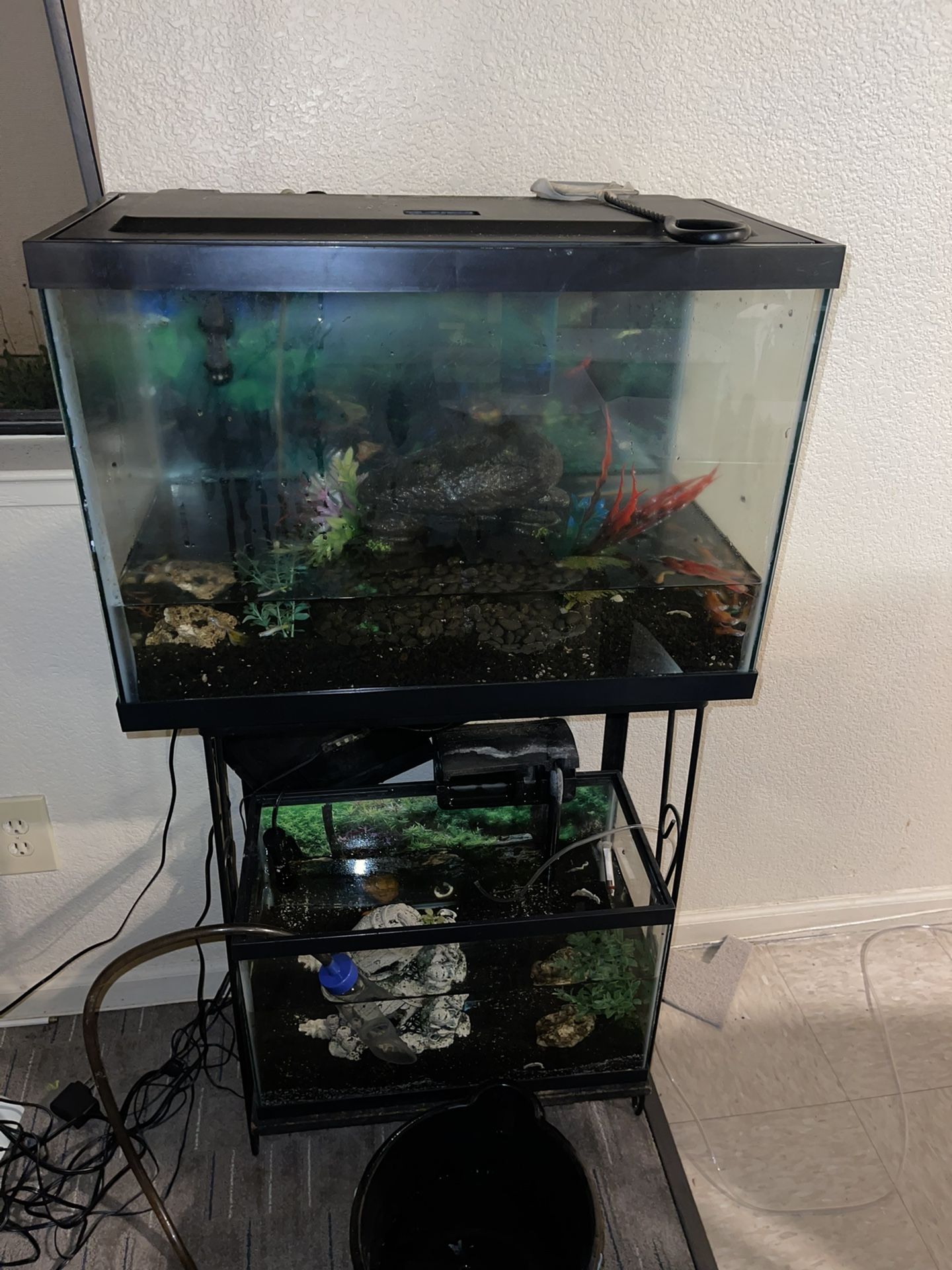 Fish Tank 10gal And 20gal, Include 20 Guppies Fish., Filter And  Tank Decor. 