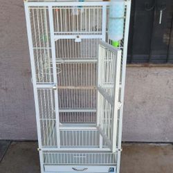 Bird Cage