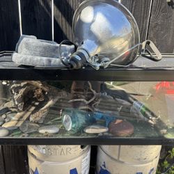 Lizard/Reptile Aquarium with accessories 