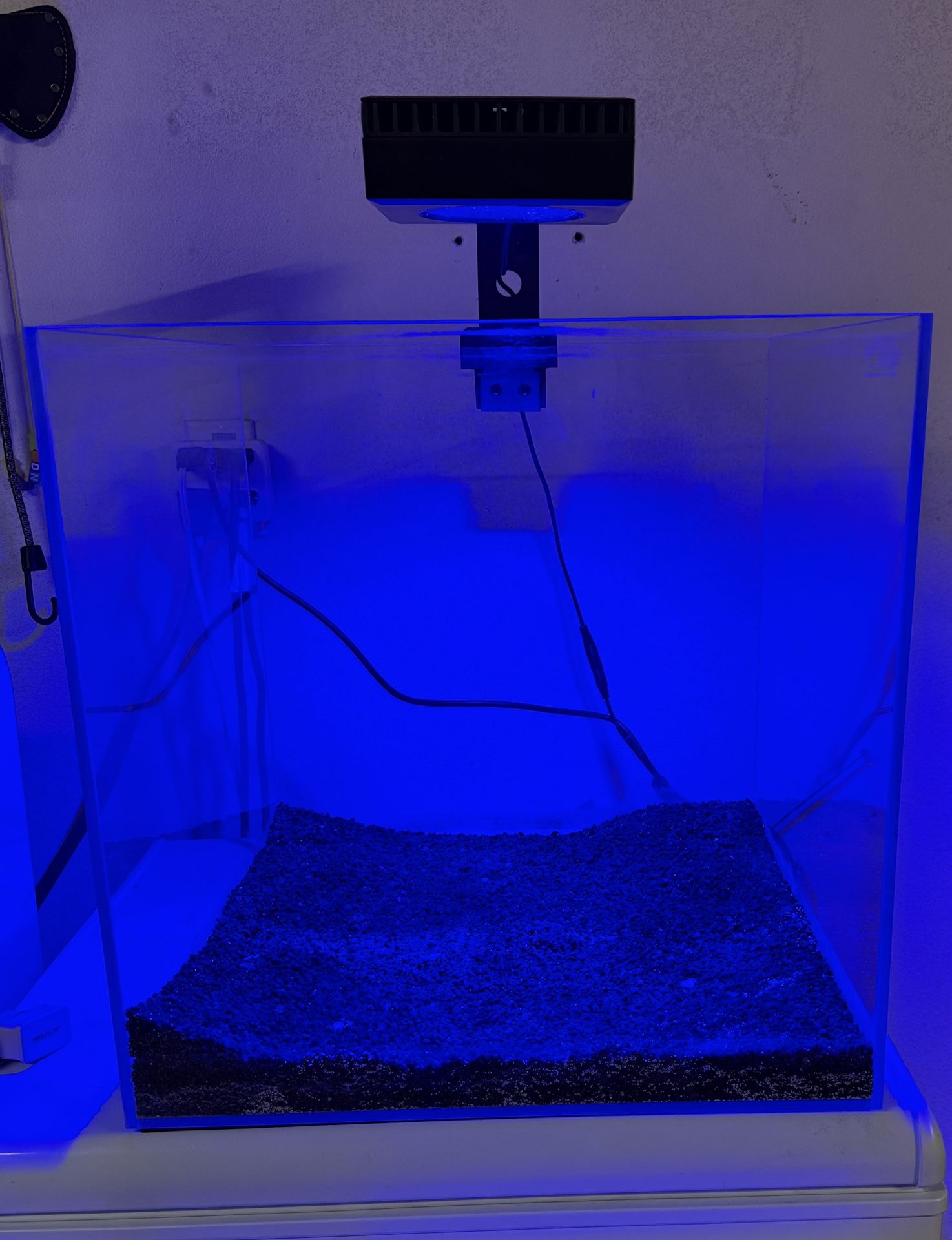 Aquamaxx Rimless Fish Tank 25 Gallon