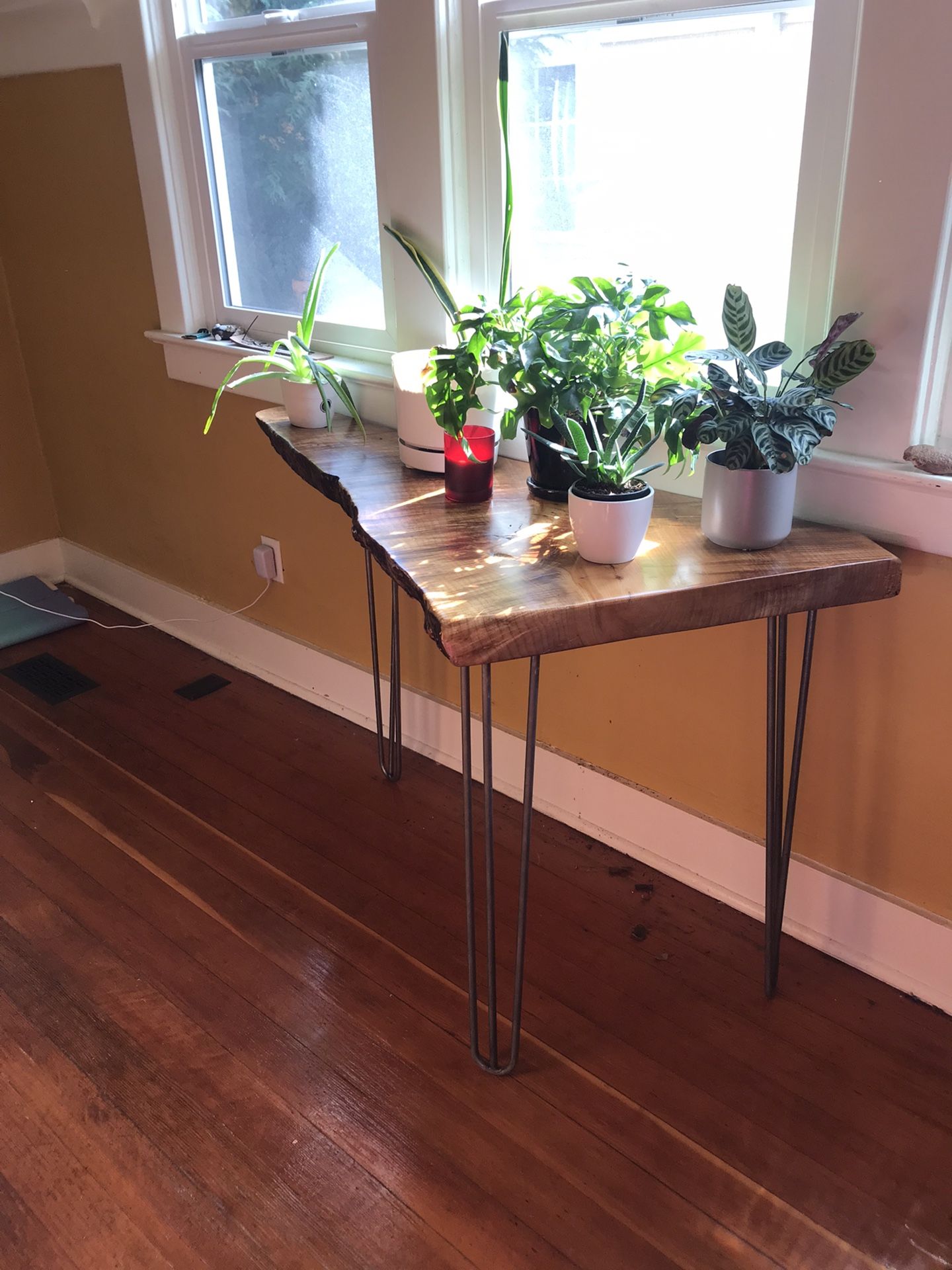 Live Edge Sycamore Plant Stand