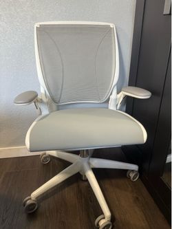 Humanscale Diffrient World Office Chair