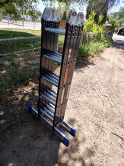 Bryner 5 Rung SGS Ladder