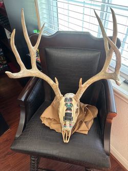 Hand-Painted Deer Skull with Antlers