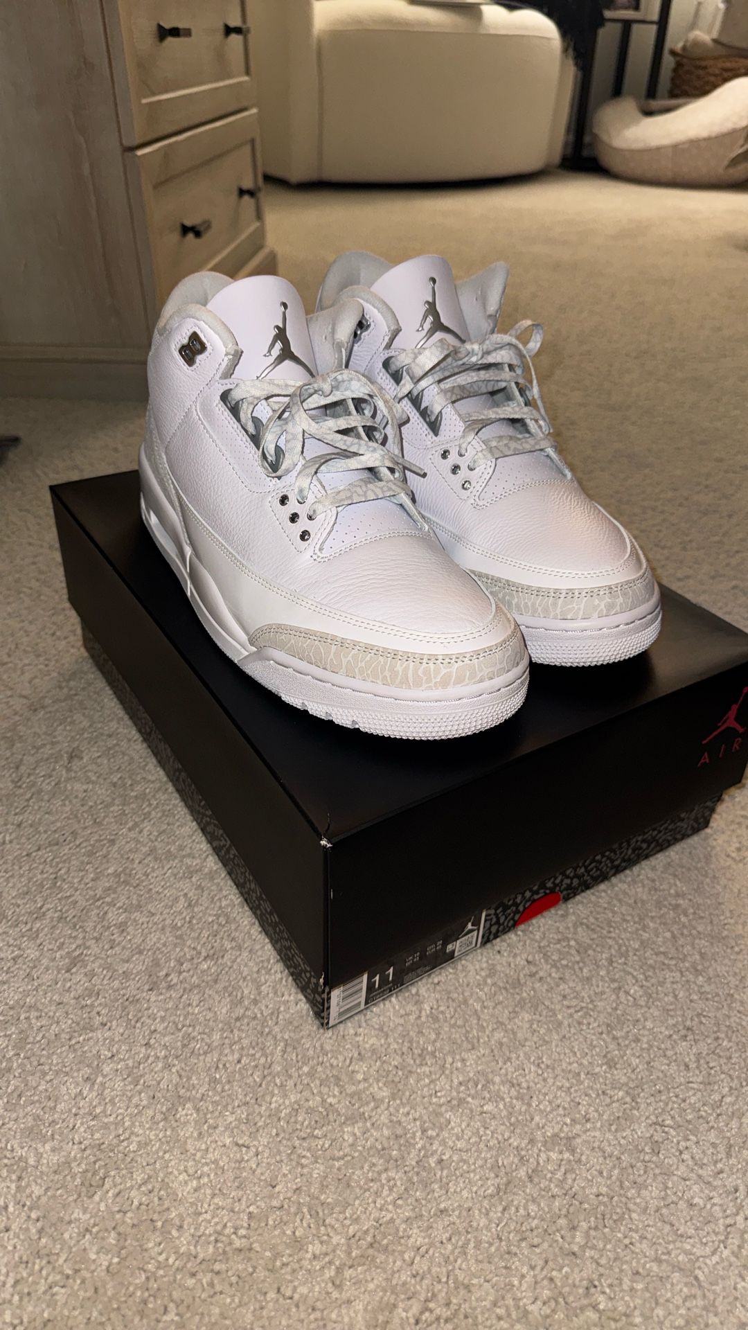 Jordan 3 Pure Money Size 11