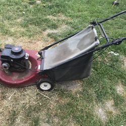 Briggs and Stratton Lawnmower Will Cut Your Yard Lawnmowing