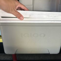 Lunch Cooler 