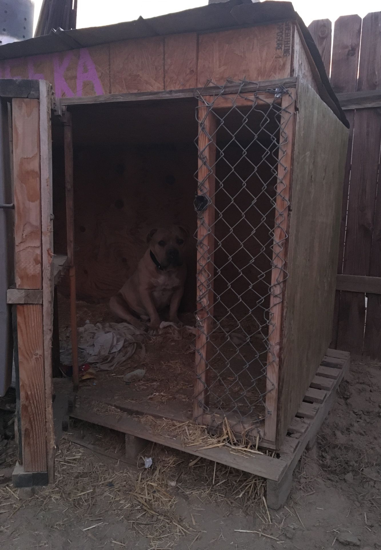 Dog kennel