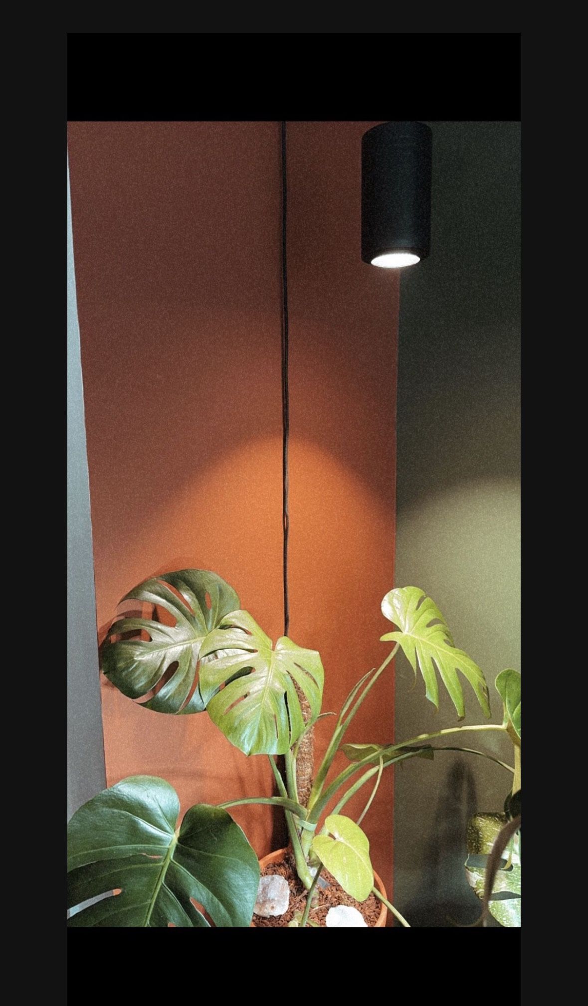 LED Pendant Grow Light 